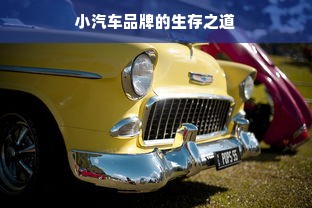 小汽车品牌的生存之道