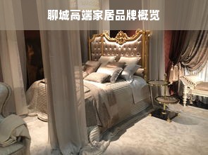 聊城高端家居品牌概览
