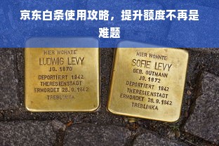 京东白条使用攻略，提升额度不再是难题