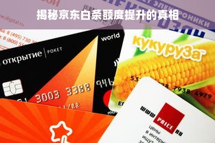 揭秘京东白条额度提升的真相