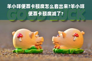 羊小咩便荔卡额度怎么套出来?羊小咩便荔卡额度减了?