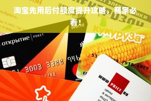 淘宝先用后付额度提升攻略，商家必看！