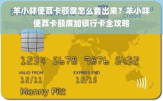 羊小咩便荔卡额度怎么套出来？羊小咩便荔卡额度加银行卡全攻略