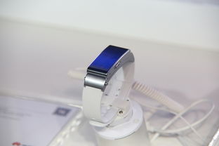 2023年木工机床十大品牌全解析，选对工具，效率翻倍！