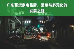 广东百货家电品牌，繁荣与多元化的发展之路