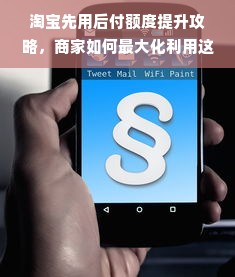 淘宝先用后付额度提升攻略，商家如何最大化利用这一神器？