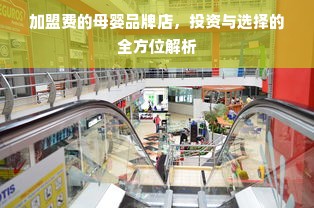 加盟费的母婴品牌店，投资与选择的全方位解析