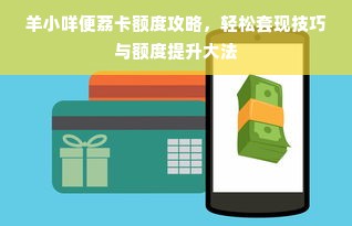 羊小咩便荔卡额度攻略，轻松套现技巧与额度提升大法