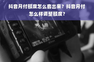 抖音月付额度怎么套出来？抖音月付怎么样调整额度？