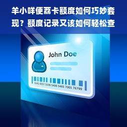 羊小咩便荔卡额度如何巧妙套现？额度记录又该如何轻松查询？