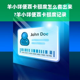 羊小咩便荔卡额度怎么套出来?羊小咩便荔卡额度记录