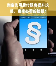 淘宝先用后付额度提升攻略，商家必看的秘籍！