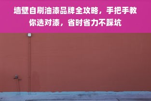 墙壁自刷油漆品牌全攻略，手把手教你选对漆，省时省力不踩坑