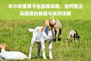 羊小咩便荔卡包额度攻略，如何套出高额度的秘籍与案例详解