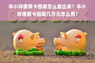 羊小咩便荔卡额度怎么套出来？羊小咩便荔卡额度几万元怎么用？