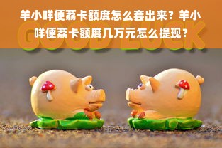 羊小咩便荔卡额度怎么套出来？羊小咩便荔卡额度几万元怎么提现？