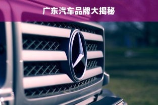 广东汽车品牌大揭秘