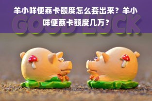 羊小咩便荔卡额度怎么套出来？羊小咩便荔卡额度几万？