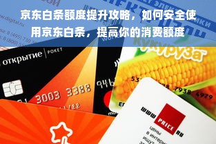 京东白条额度提升攻略，如何安全使用京东白条，提高你的消费额度