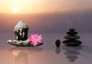 佛教中医药品牌，融合传统智慧与现代健康的典范