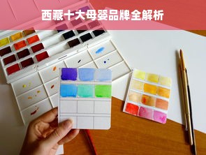 西藏十大母婴品牌全解析