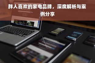 胖人喜欢的家电品牌，深度解析与案例分享