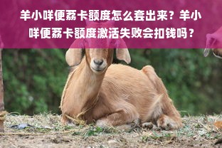 羊小咩便荔卡额度怎么套出来？羊小咩便荔卡额度激活失败会扣钱吗？