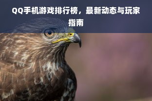 QQ手机游戏排行榜，最新动态与玩家指南