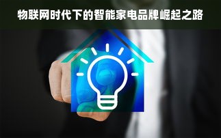 物联网时代下的智能家电品牌崛起之路