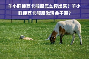羊小咩便荔卡额度怎么套出来？羊小咩便荔卡额度激活会干嘛？