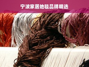 宁波家居地毯品牌精选