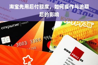 淘宝先用后付额度，如何操作与逾期后的影响