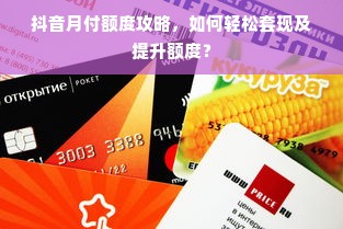 抖音月付额度攻略，如何轻松套现及提升额度？