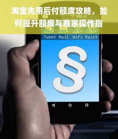 淘宝先用后付额度攻略，如何提升额度与商家操作指南