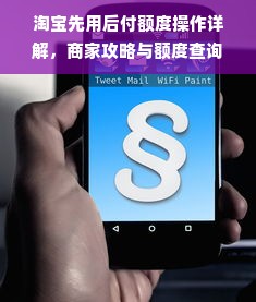 淘宝先用后付额度操作详解，商家攻略与额度查询步骤