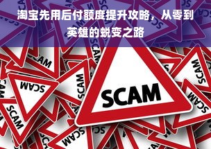 淘宝先用后付额度提升攻略，从零到英雄的蜕变之路