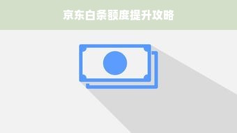 京东白条额度提升攻略