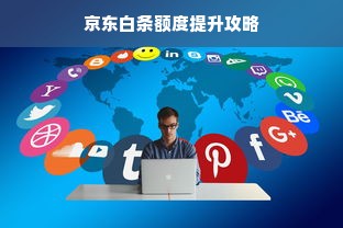 京东白条额度提升攻略