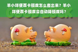羊小咩便荔卡额度怎么套出来？羊小咩便荔卡额度会自动降额度吗？