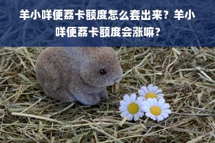 羊小咩便荔卡额度怎么套出来？羊小咩便荔卡额度会涨嘛？