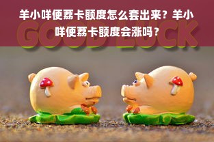 羊小咩便荔卡额度怎么套出来？羊小咩便荔卡额度会涨吗？
