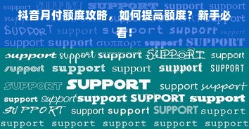 抖音月付额度攻略，如何提高额度？新手必看！