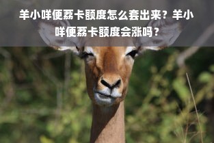 羊小咩便荔卡额度怎么套出来？羊小咩便荔卡额度会涨吗？