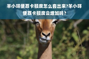 羊小咩便荔卡额度怎么套出来?羊小咩便荔卡额度会增加吗？