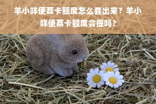 羊小咩便荔卡额度怎么套出来？羊小咩便荔卡额度会提吗？