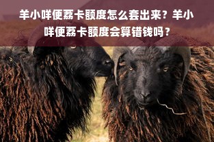 羊小咩便荔卡额度怎么套出来？羊小咩便荔卡额度会算错钱吗？