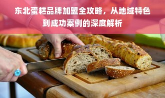 东北蛋糕品牌加盟全攻略，从地域特色到成功案例的深度解析