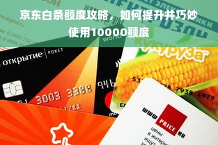 京东白条额度攻略，如何提升并巧妙使用10000额度