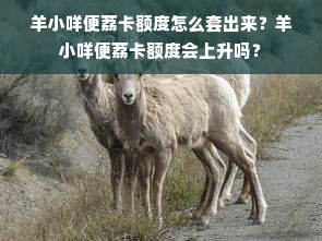 羊小咩便荔卡额度怎么套出来？羊小咩便荔卡额度会上升吗？