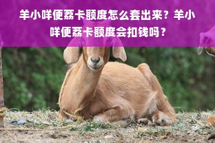 羊小咩便荔卡额度怎么套出来？羊小咩便荔卡额度会扣钱吗？